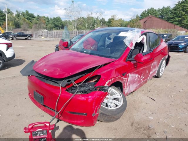 2023 TESLA MODEL Y 7SAYGDEE9PA135077 Photo 1