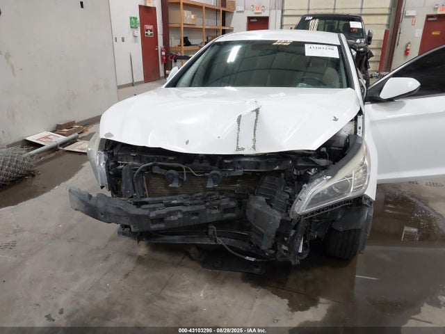 5NPE24AFXHH514978 Hyundai Sonata