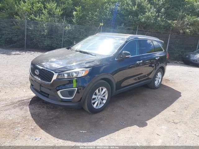 5XYPG4A59HG213353 KIA Sorento