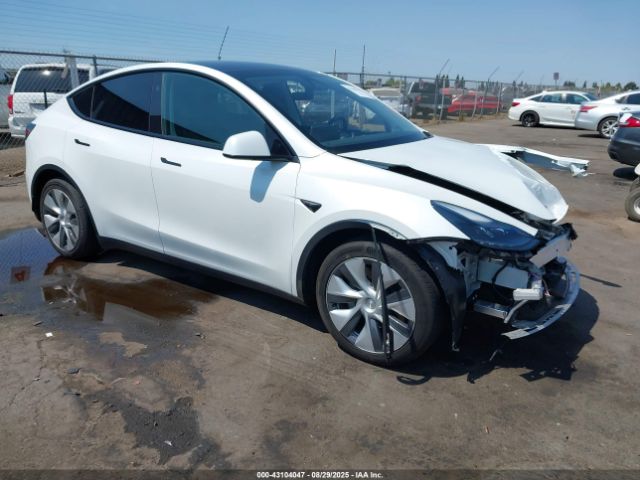 2023 TESLA MODEL Y 7SAYGAEE3PF826073 Photo 0