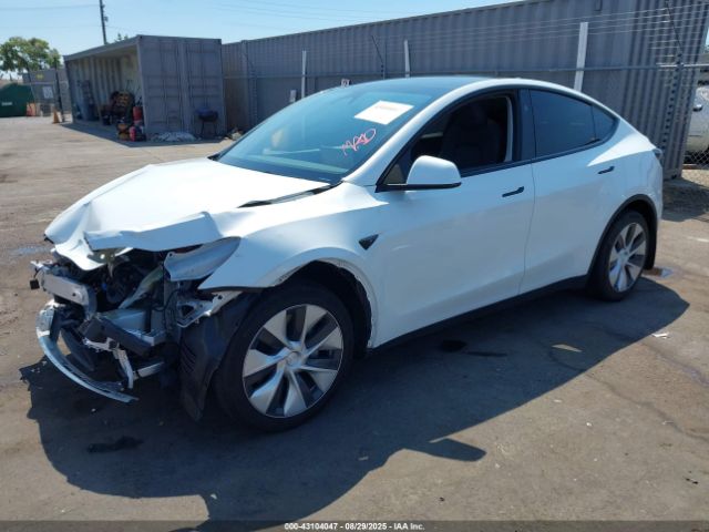 2023 TESLA MODEL Y 7SAYGAEE3PF826073 Photo 1