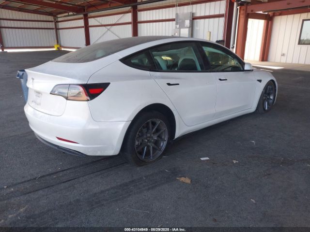 2023 TESLA MODEL 3 5YJ3E1EA4PF567054 Photo 3