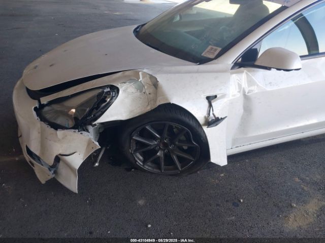 2023 TESLA MODEL 3 5YJ3E1EA4PF567054 Photo 5