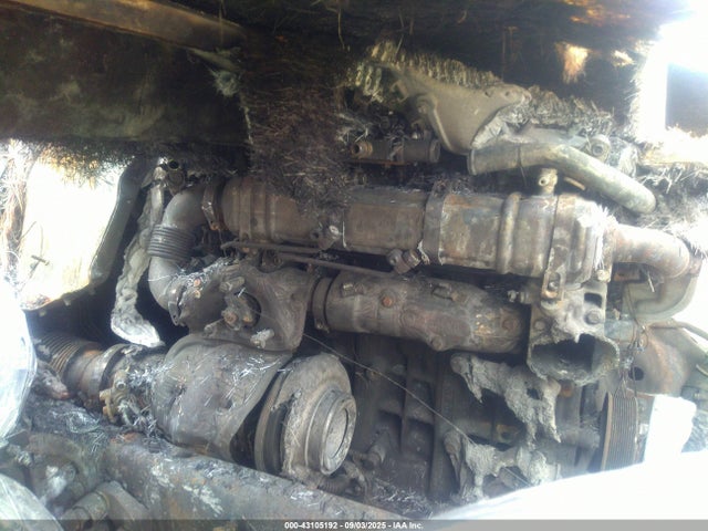 3ALAHTDV5SSVW4404 Freightliner New Cascadia 116