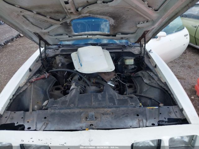 1981 PONTIAC FIREBIRD 1G2AW87WXBN117283 Photo 9