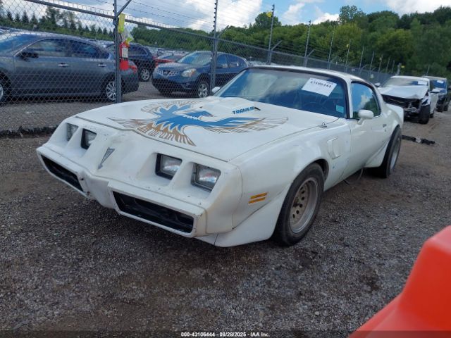1981 PONTIAC FIREBIRD 1G2AW87WXBN117283 Photo 1