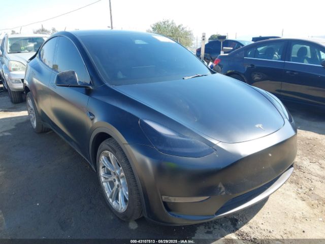 2024 TESLA MODEL Y 7SAYGDEEXRA238558 Photo 0