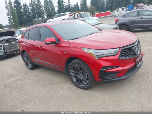 2019 ACURA RDX 5J8TC2H61KL031690 Photo 0