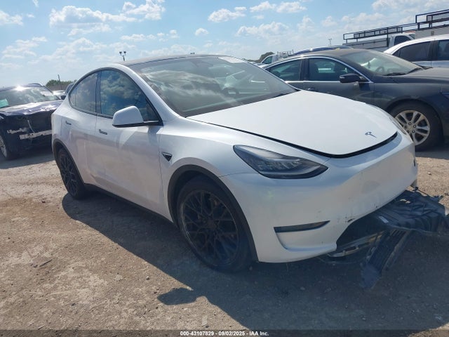 2023 TESLA MODEL Y 7SAYGDEE3PA124236 Photo 0