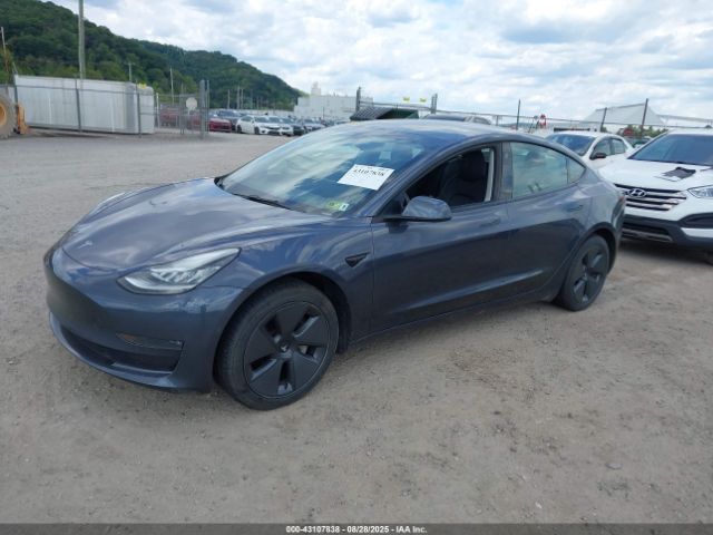 2022 TESLA MODEL 3 5YJ3E1EB8NF260458 Photo 1