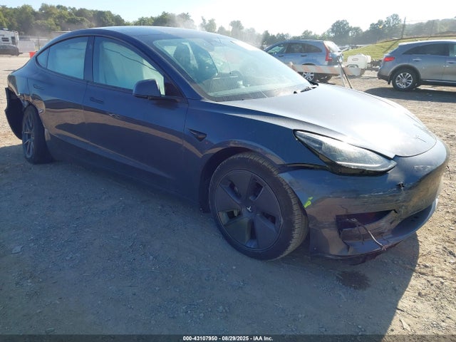 2023 TESLA MODEL 3 5YJ3E1EA4PF569743 Photo 0