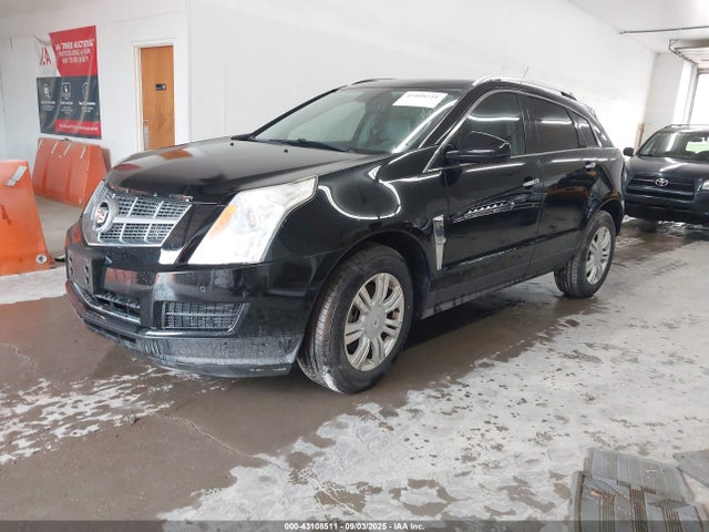 2011 CADILLAC SRX 3GYFNAEY4BS556625 Photo 1