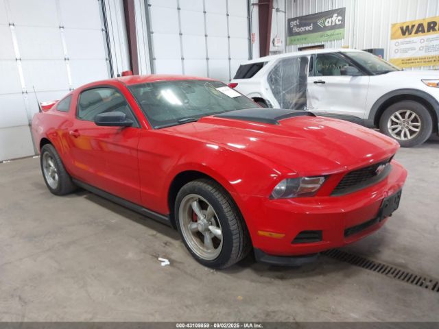 2011 FORD MUSTANG 1ZVBP8AM9B5138868