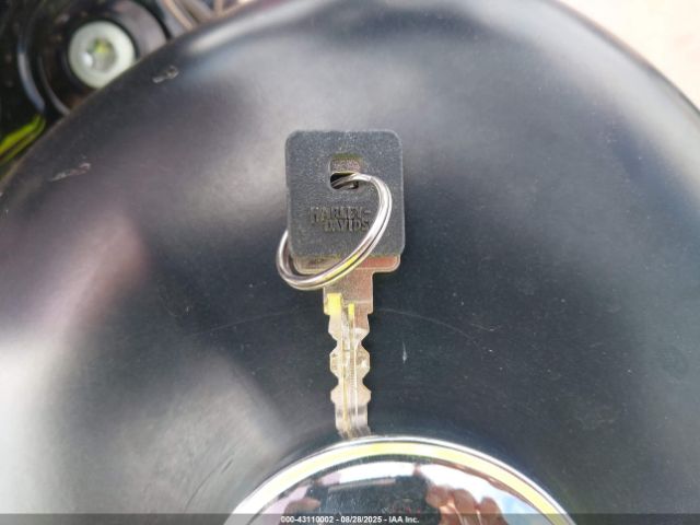 2019 HARLEY-DAVIDSON XL883 1HD4LE210KC406243 Photo 10