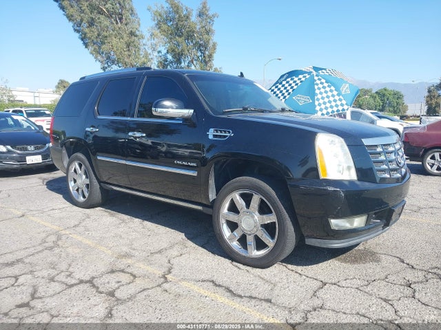2010 CADILLAC ESCALADE 1GYUKCEF9AR150934 Photo 0