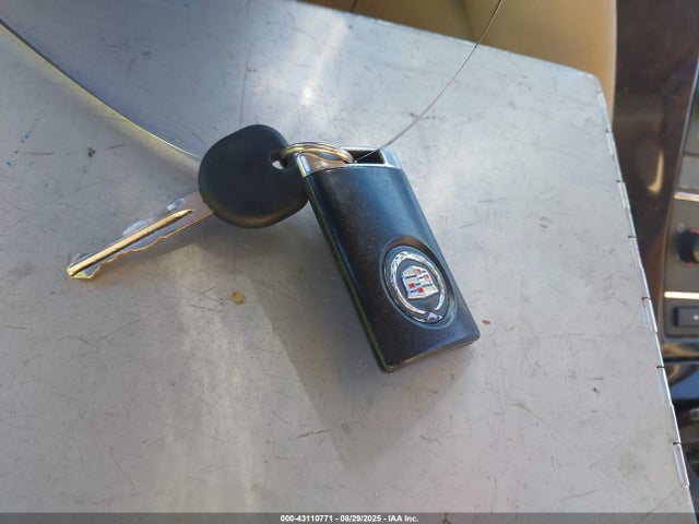 2010 CADILLAC ESCALADE 1GYUKCEF9AR150934 Photo 10