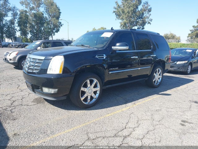2010 CADILLAC ESCALADE 1GYUKCEF9AR150934 Photo 1
