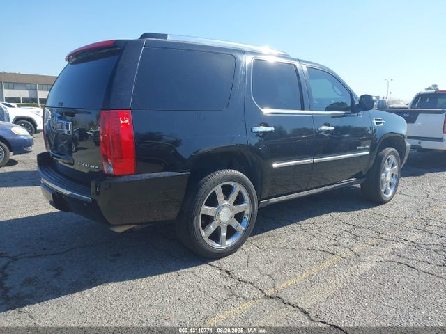 2010 CADILLAC ESCALADE 1GYUKCEF9AR150934 Photo 3