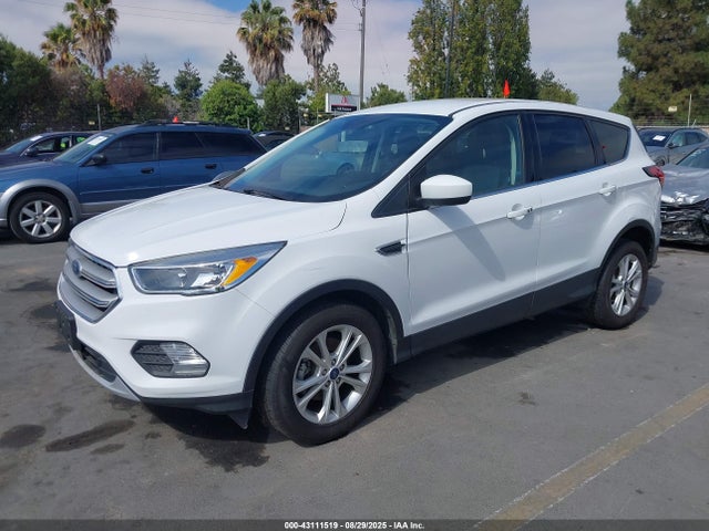 Ford 1.5l gtdi sigma w/premium fuel 2019 1FMCU0GD2KUA80158 Image 2