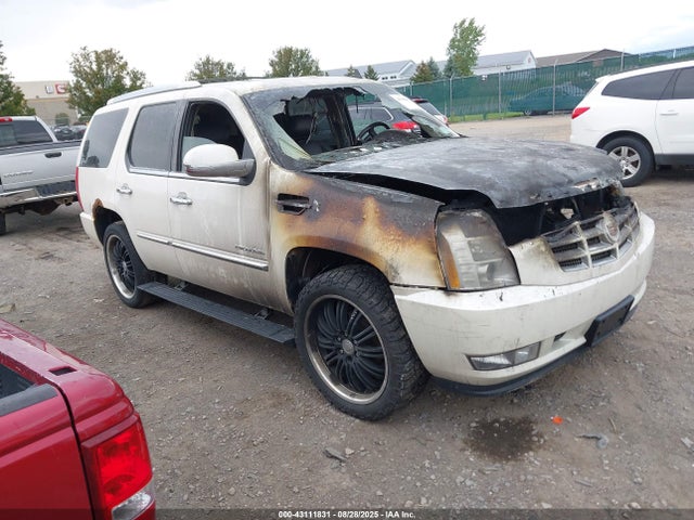 2010 CADILLAC ESCALADE 1GYUKCEF8AR101143 Photo 0