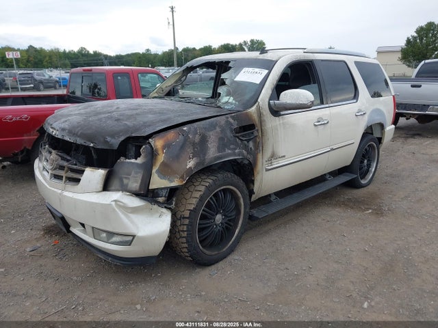 2010 CADILLAC ESCALADE 1GYUKCEF8AR101143 Photo 1