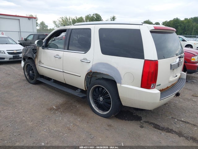 2010 CADILLAC ESCALADE 1GYUKCEF8AR101143 Photo 2