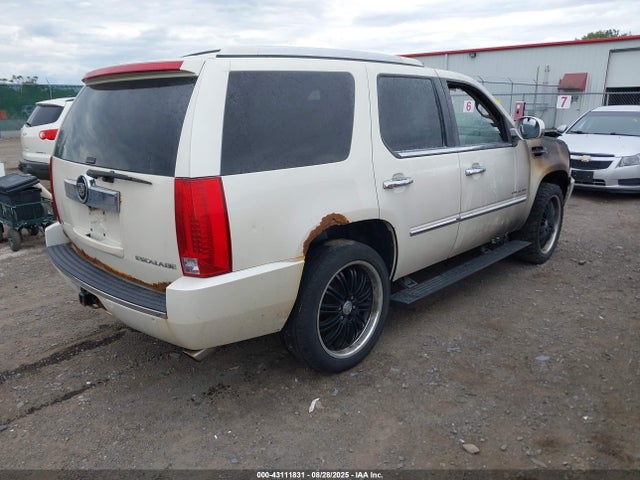 2010 CADILLAC ESCALADE 1GYUKCEF8AR101143 Photo 3
