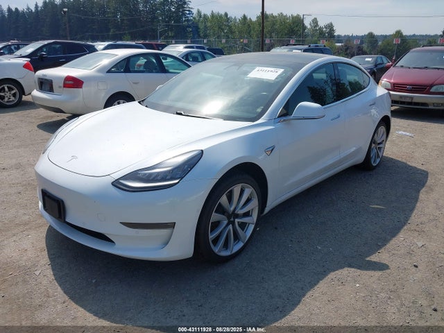 2019 TESLA MODEL 3 5YJ3E1EA7KF406464 Photo 1