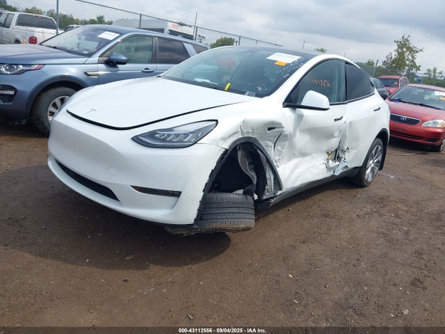 2023 TESLA MODEL Y 7SAYGDEE8PA125043 Photo 1