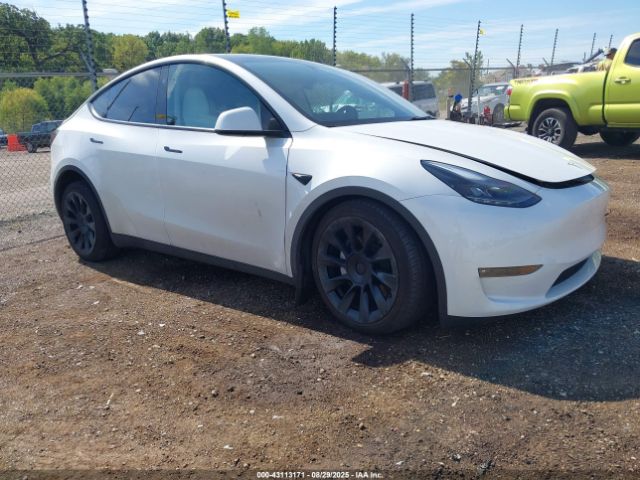 2023 TESLA MODEL Y 7SAYGDEE0PF890671 Photo 0