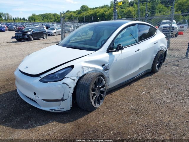 2023 TESLA MODEL Y 7SAYGDEE0PF890671 Photo 1