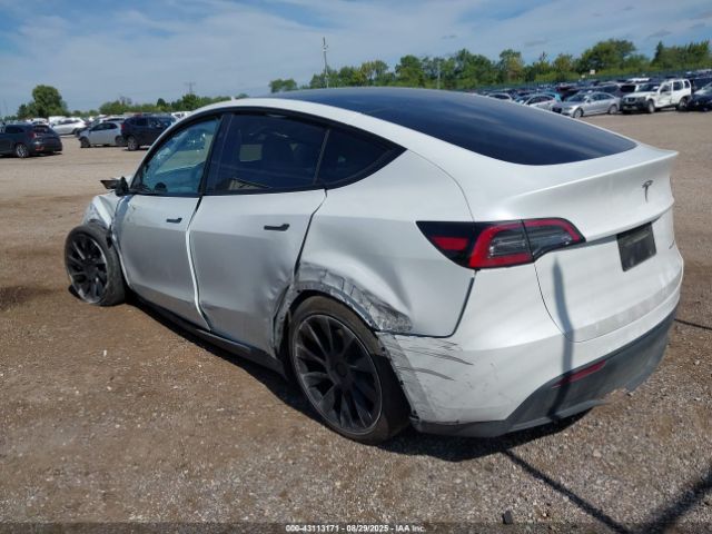 2023 TESLA MODEL Y 7SAYGDEE0PF890671 Photo 2