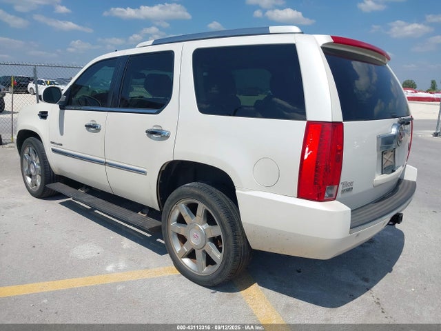 2011 CADILLAC ESCALADE 1GYS3CEFXBR134361 Photo 2
