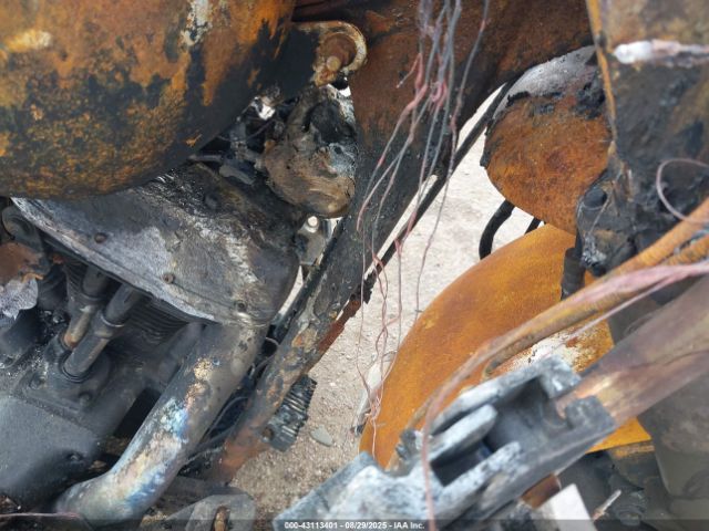 1991 HARLEY-DAVIDSON FLHS 1HD1FAL11MY510098 Photo 9