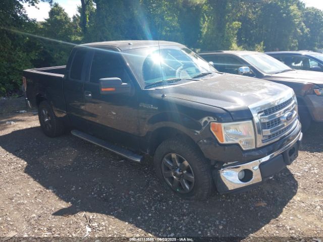 2013 FORD F-150 1FTFX1EF8DFA77176
