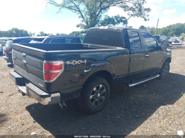 2013 FORD F-150 1FTFX1EF8DFA77176 Photo 3