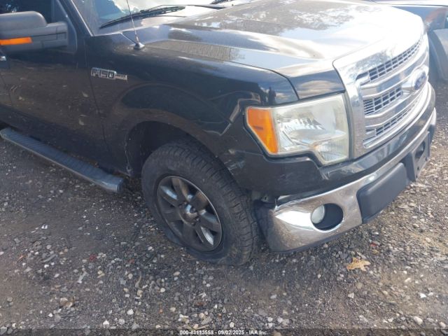 2013 FORD F-150 1FTFX1EF8DFA77176 Photo 5