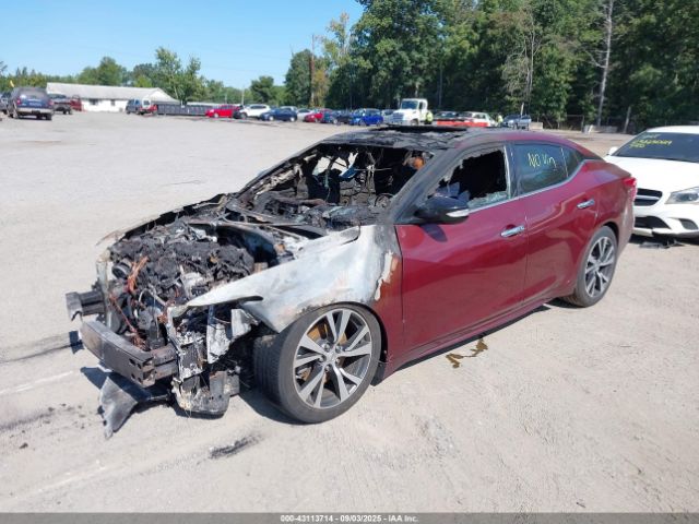 2017 NISSAN MAXIMA 1N4AA6AP9HC440928 Photo 1