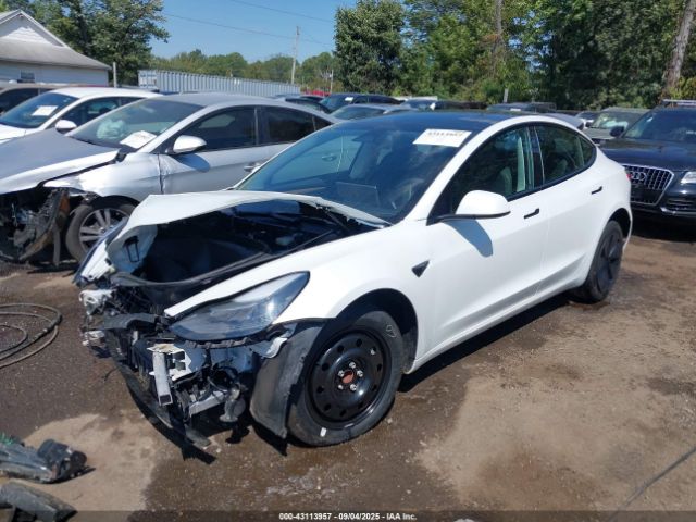 2023 TESLA MODEL 3 5YJ3E1EA8PF692431 Photo 1