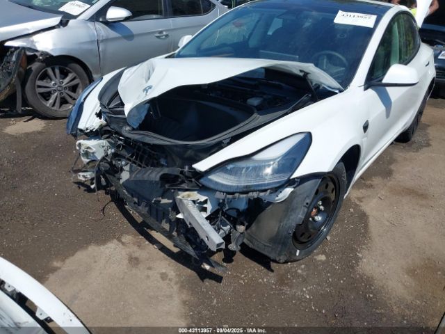 2023 TESLA MODEL 3 5YJ3E1EA8PF692431 Photo 5