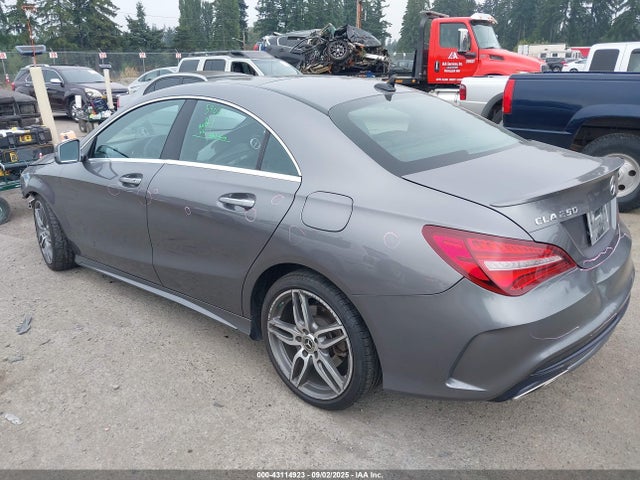 Mercedes-Benz m270 2019 WDDSJ4GB0KN723279 Image 3