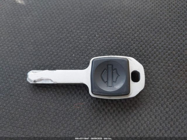 2018 HARLEY-DAVIDSON FXLR 1HD1YNJ13JC028889 Photo 10