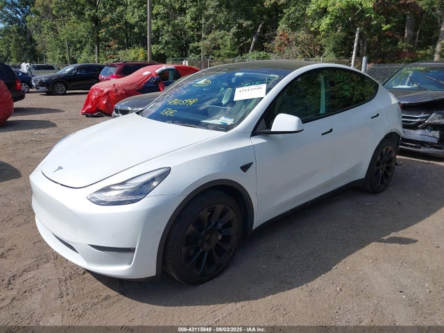 2021 TESLA MODEL Y 5YJYGDEE7MF080625 Photo 1