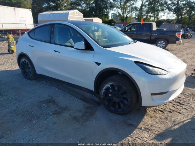 2025 TESLA MODEL Y 7SAYGDED2SA357122 Photo 0
