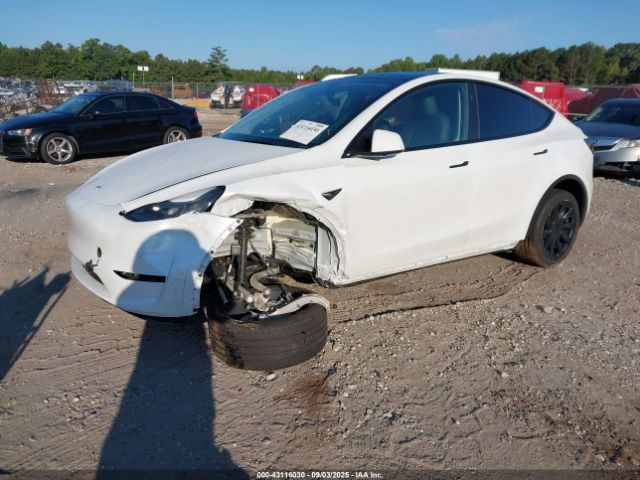 2025 TESLA MODEL Y 7SAYGDED2SA357122 Photo 1