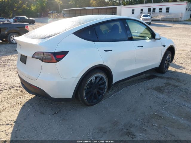 2025 TESLA MODEL Y 7SAYGDED2SA357122 Photo 3