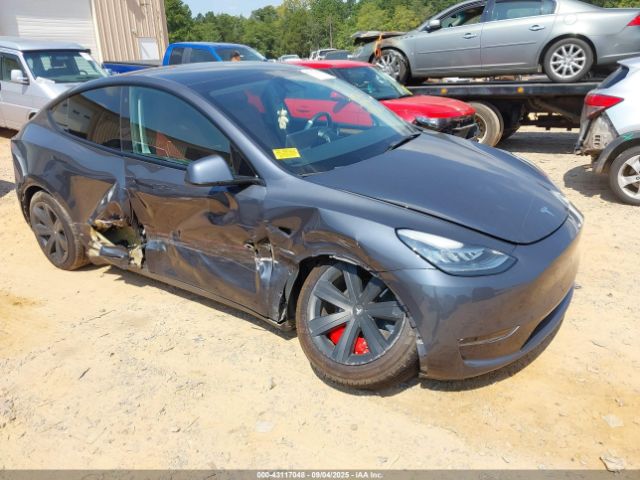 2023 TESLA MODEL Y 7SAYGDEE9PF613842 Photo 0