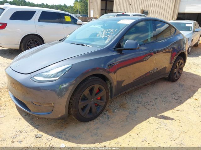 2023 TESLA MODEL Y 7SAYGDEE9PF613842 Photo 1