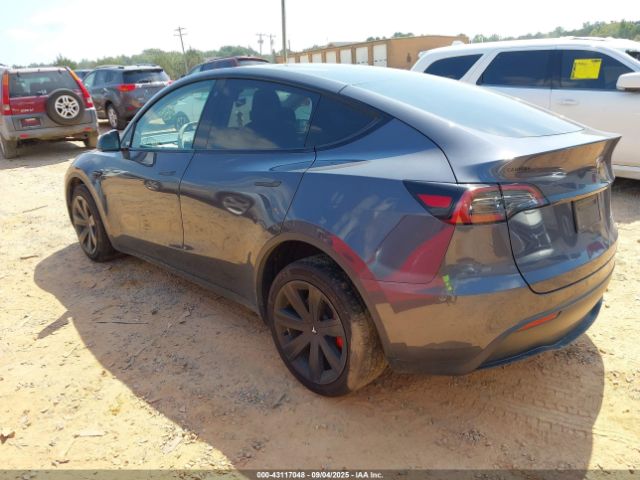 2023 TESLA MODEL Y 7SAYGDEE9PF613842 Photo 2
