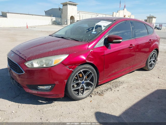 1FADP3K24GL391214 Ford Focus